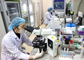 Vietnam sets roadmap for intellectual workforce to 2045